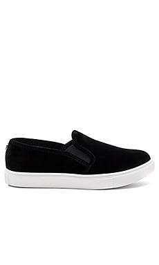 Steve Madden