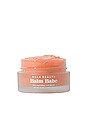 Ncla Balm Babe Natural Lip Balm In Peach Revolve