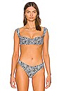 Tropic Of C South Pacific Bikini Top In Zebra Revolve