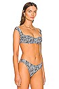 Tropic Of C South Pacific Bikini Top In Zebra Revolve