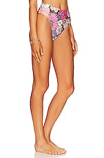 Agua Bendita Penelope Bikini Bottom In Multicolor Revolve