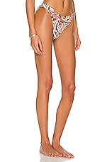 B Swim Havanna Bikini Bottom In Affogato Revolve