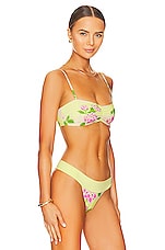 Frankies Bikinis Cleo Bikini Top In Mojito REVOLVE