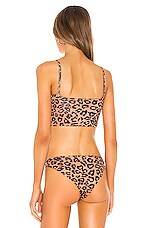 Superdown Tania Bikini Top In Leopard Revolve