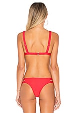 TAVIK Swimwear Amore Bikini Top In Hibiscus REVOLVE