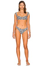 Tropic Of C South Pacific Bikini Top In Zebra Revolve