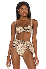 Zimmermann Separates Sculpt Balconette Bikini Top In Leopard Revolve