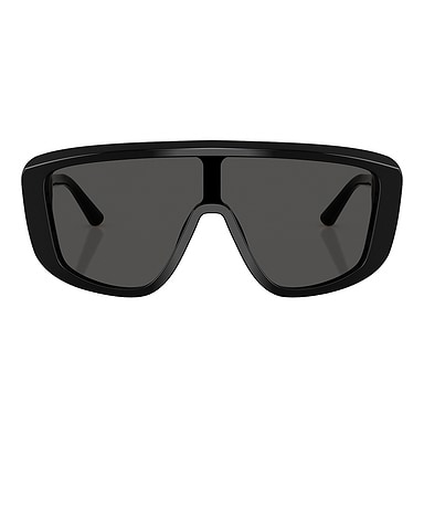 Shield Sunglasses
