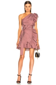 ALEXIS ALEXIS ADELA DRESS IN PINK