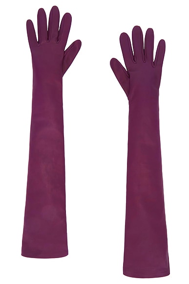 GANTS