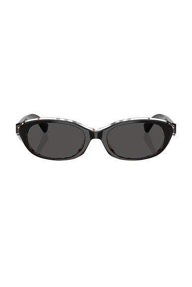 Oval Sunglasses