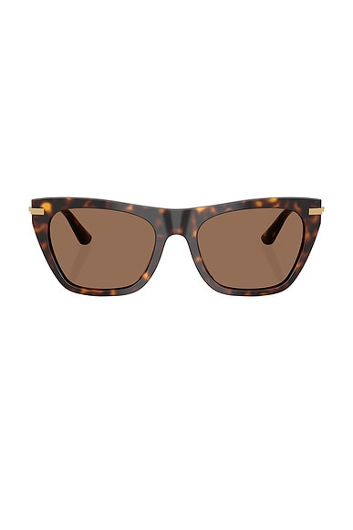 Cat Eye Sunglasses