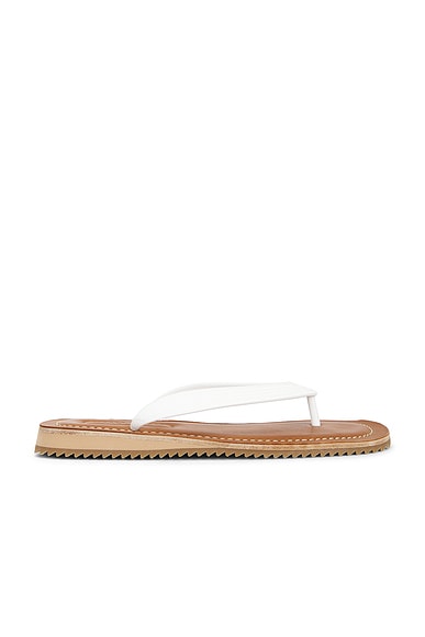 Infradito Sandal