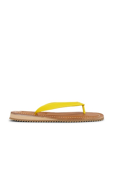 Infradito Sandal