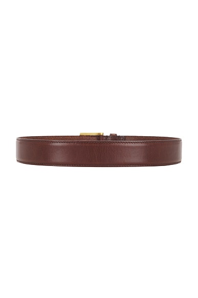 Saint Laurent Ceinture Vadim Belt In Brown