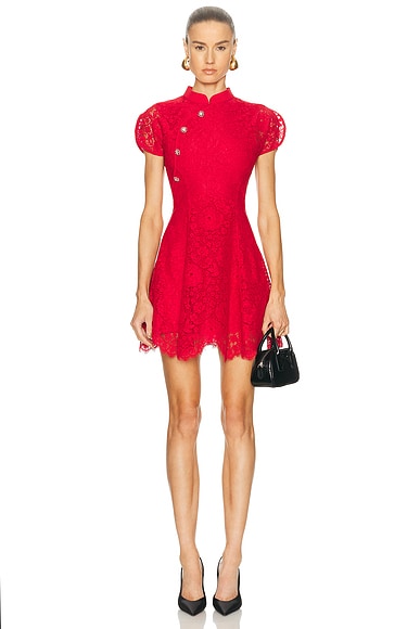 Fine Lace Mini Dress