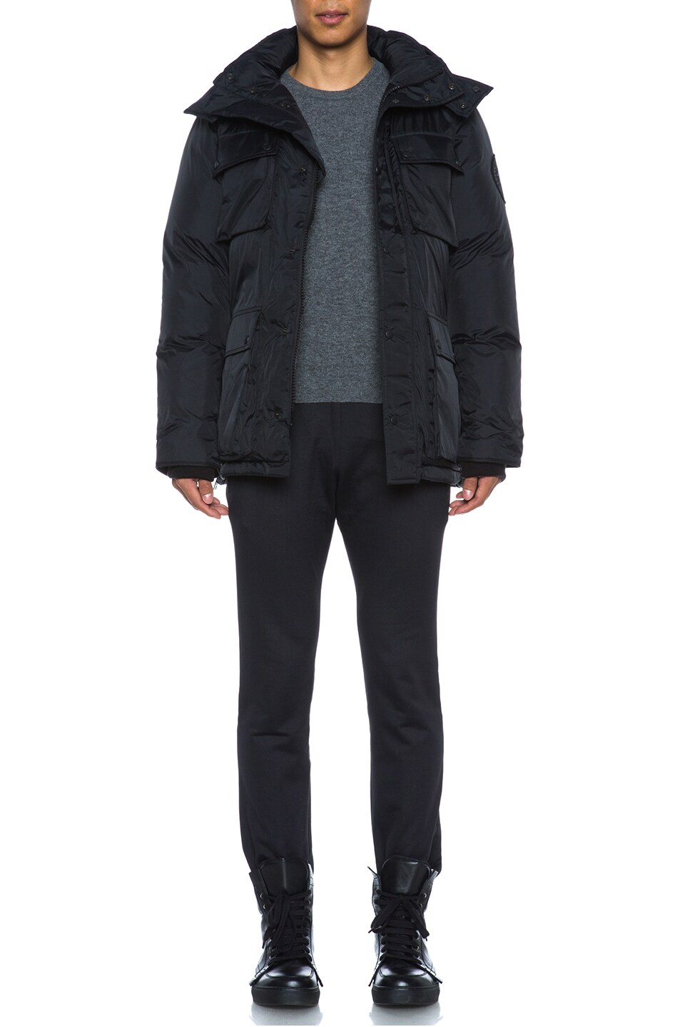 canada goose branta elliston canada goose branta elliston