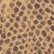 color: Dark Brown