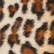 Dyed Leopard