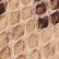 Taupe Snake