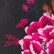 color: Noir Pink Bouquet