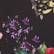color: Noir Summer Rose