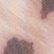 color: Warmth Leopard