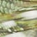 color: Mixed Snake Swirl