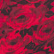 color: Rose Kissed