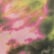 Limelight Tie Dye
