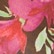 color: Dusted Floral