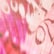 color: Berry Butterfly
