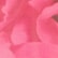 color: Fuchsia Rose