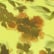 color: Citron Haze Floral