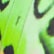 color: Lime Butterfly