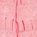 Rose Vif