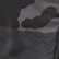 Black Woodland Camo
