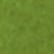 color: Ivy
