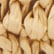 color: Desert Palm