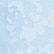 color: Baby Blue