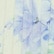 color: Green Blue Floral