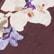 color: Brown Floral