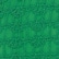 Cactus Green