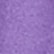 Irise Purple