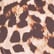 Leopard Dream