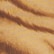 color: Tiger Animal Print