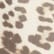 color: Leopard