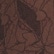 color: Chocolate
