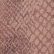 Neutral Snakeskin