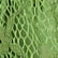 Jungle Green